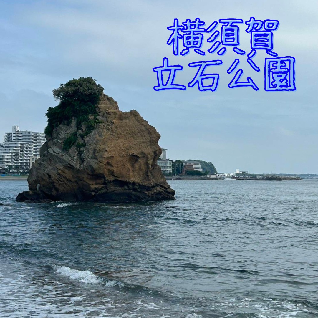 ご利用者様と横須賀立石公園にお出かけ