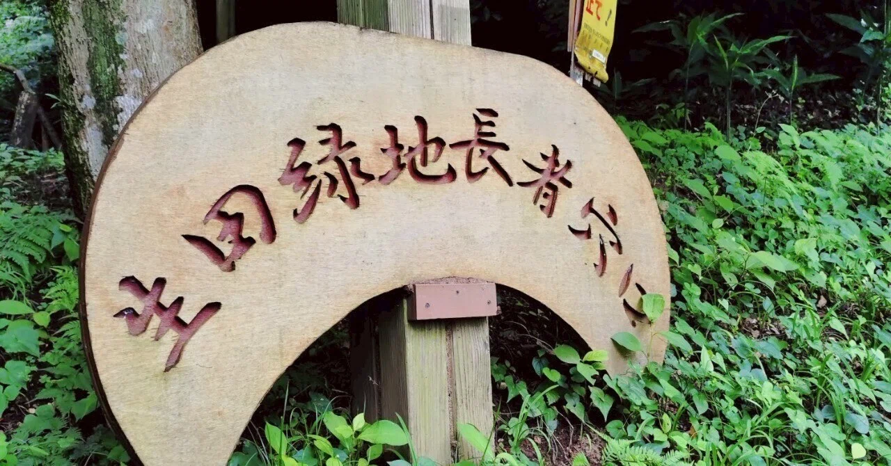 【生田緑地　日本民家園を弱視が歩く】