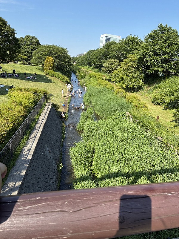 橋の上から見下ろす河川沿いの風景。緑に囲まれた川で家族連れがのんびりと過ごしている様子